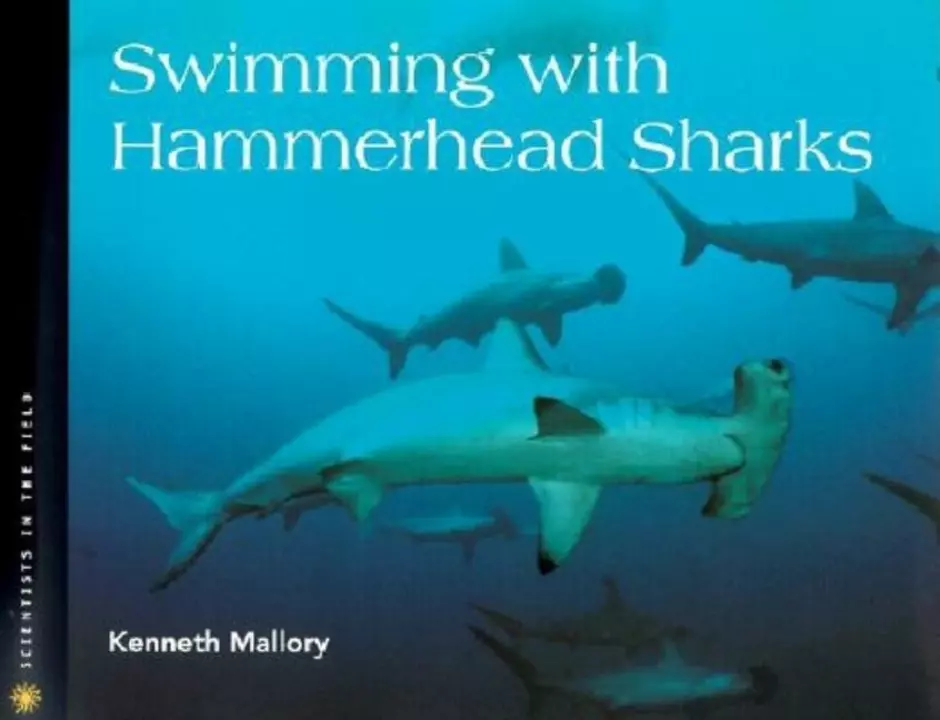 Is it safe to swim with hammerhead sharks?